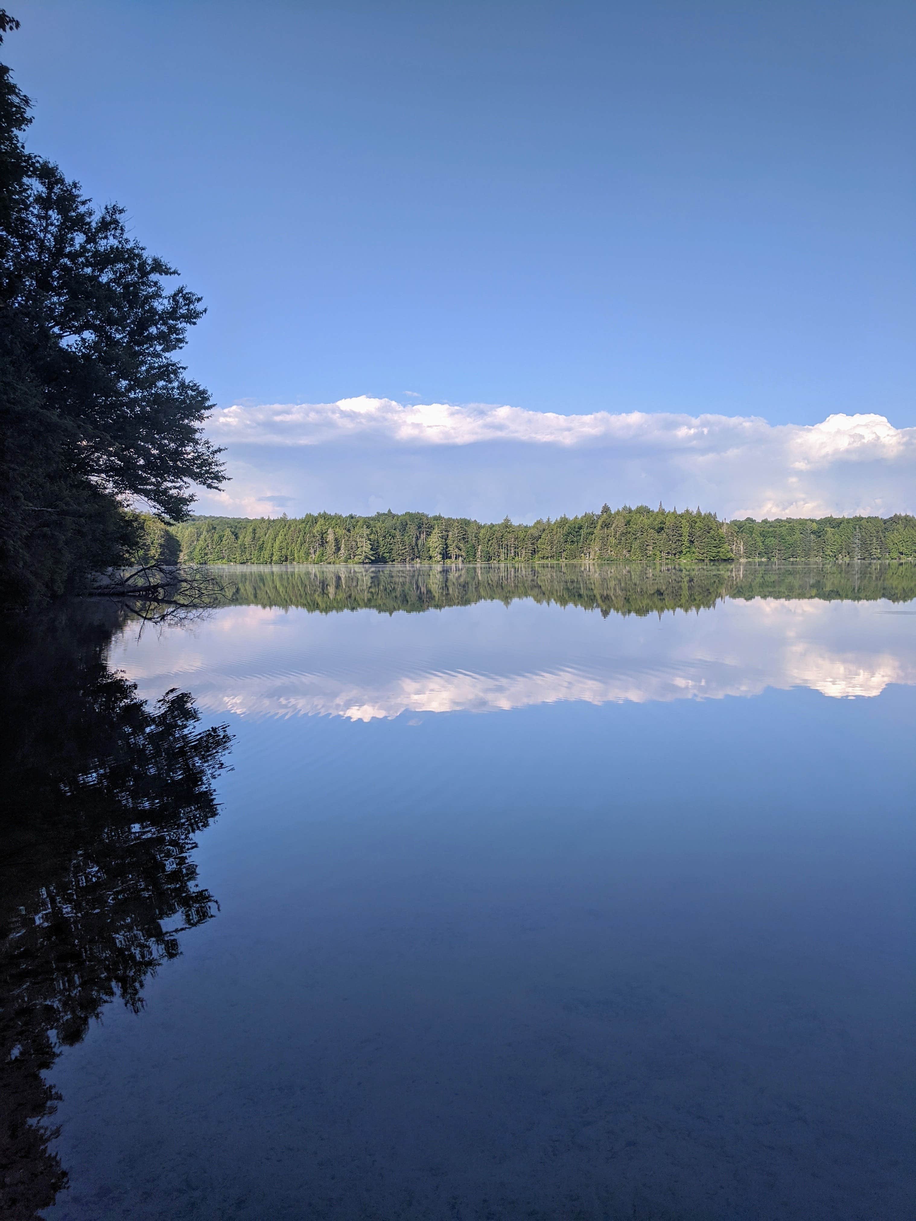 Camper submitted image from Nicks Lake Campground - 2