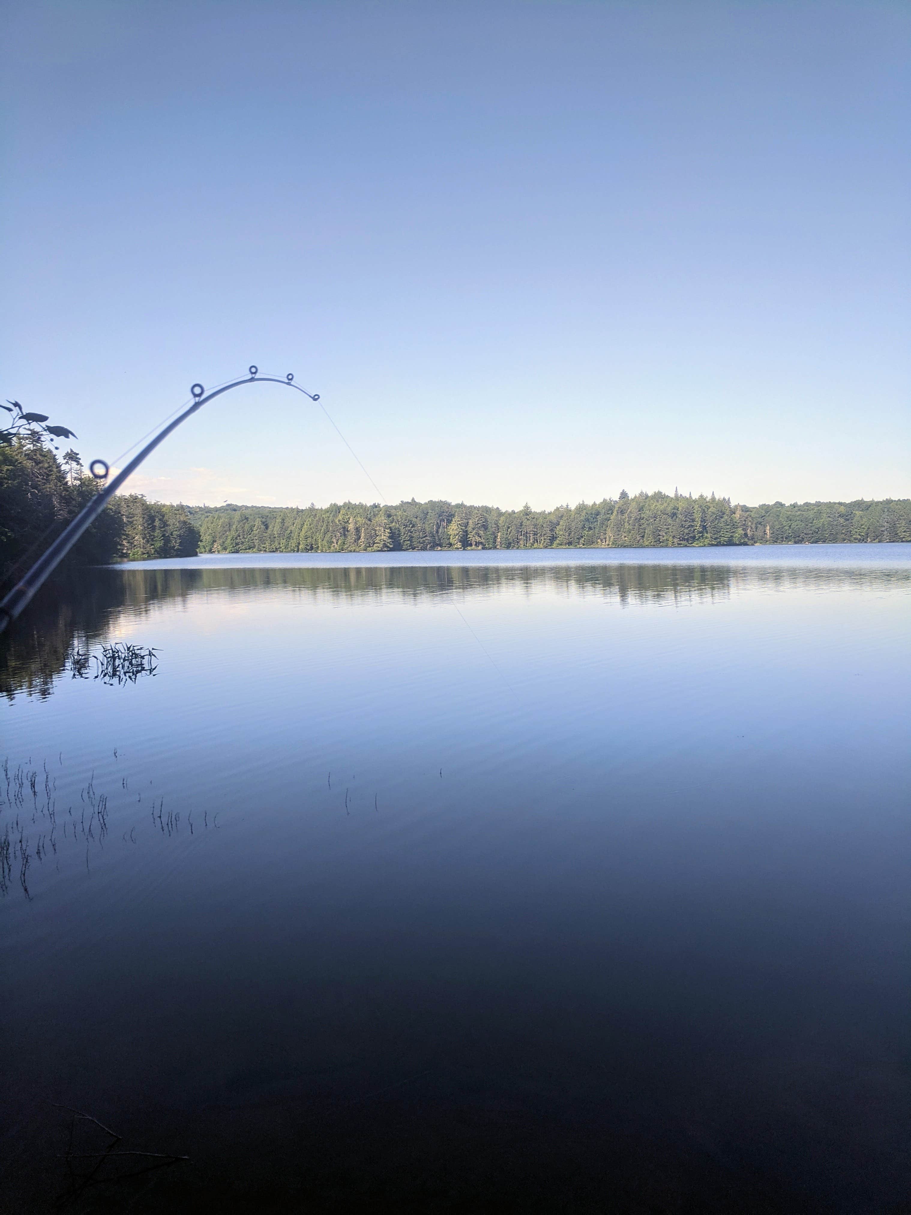 Camper submitted image from Nicks Lake Campground - 1