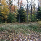 Review photo of Forestry Road Dispersed Campsite by Caitlin , October 12, 2020