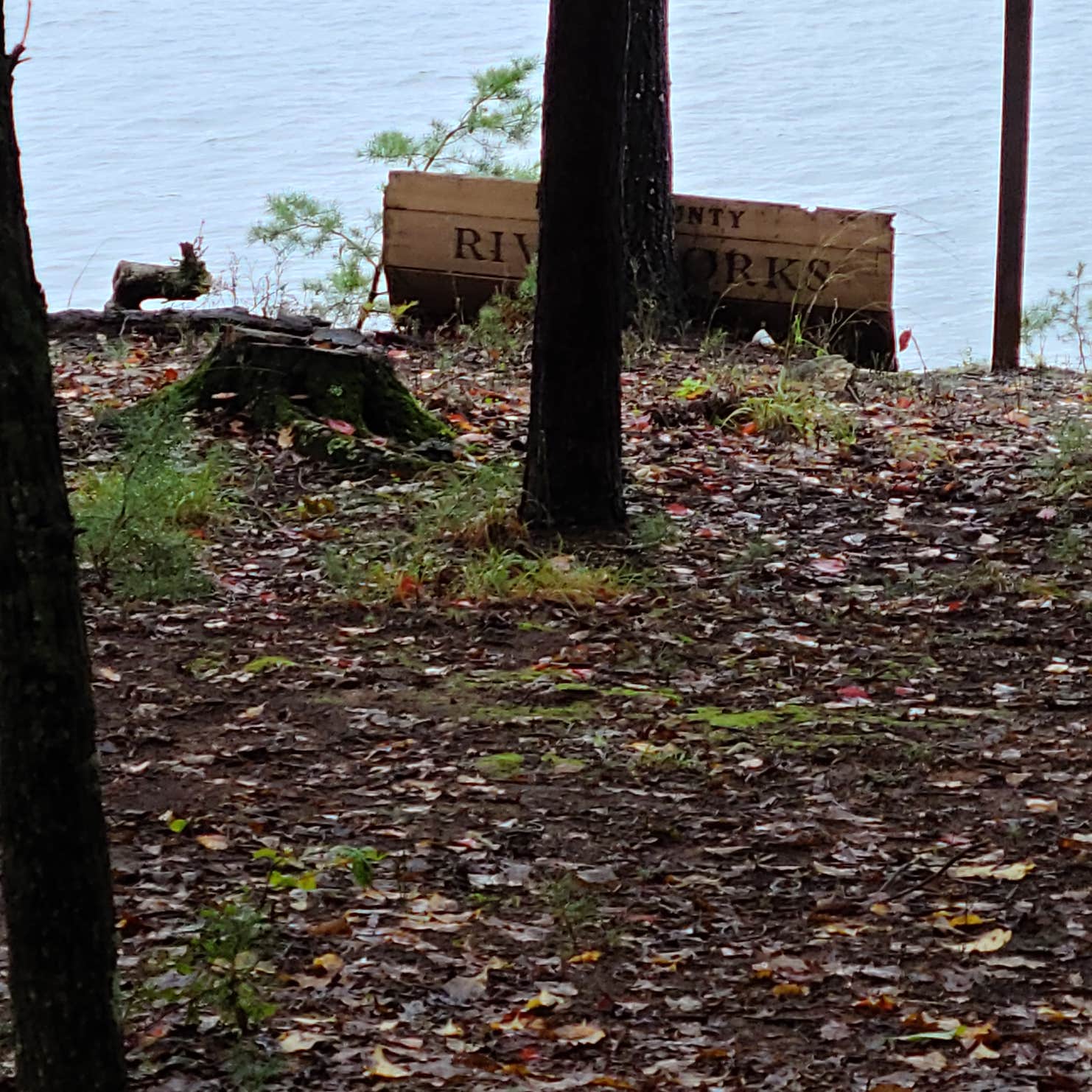 River Forks Park & Campground Camping The Dyrt