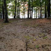 Review photo of River Forks Park & Campground by Tiffany B., October 12, 2020