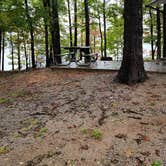 Review photo of River Forks Park & Campground by Tiffany B., October 12, 2020