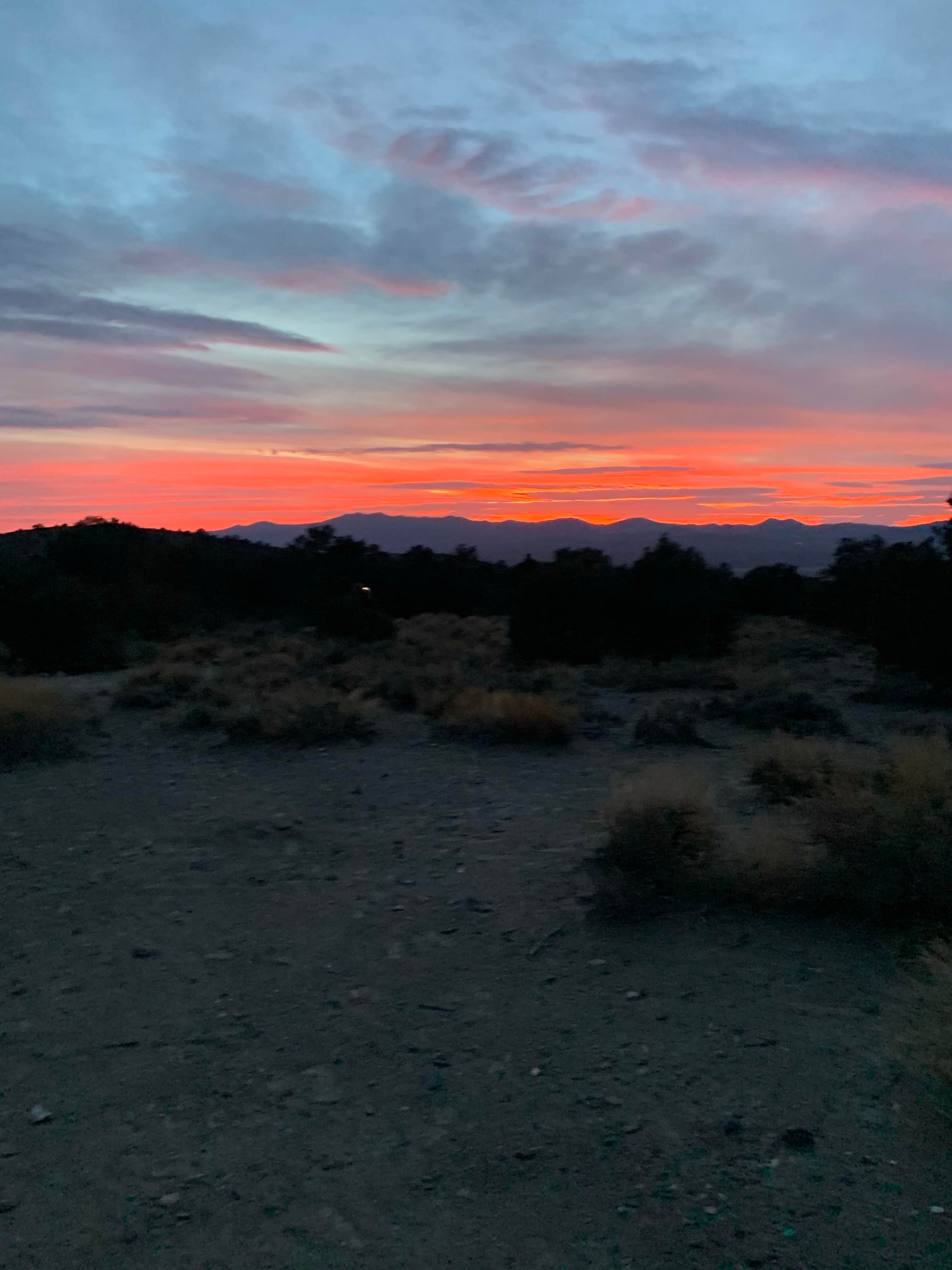 Camper-submitted photo at Berlin-Ichthyosaur State Park near Round Mountain, NV