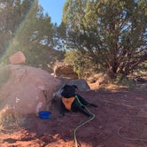 Review photo of Upper Onion Creek Campground by Lauren , October 12, 2020
