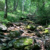 Review photo of Cloudland Canyon State Park Campground by Melanie , October 12, 2020