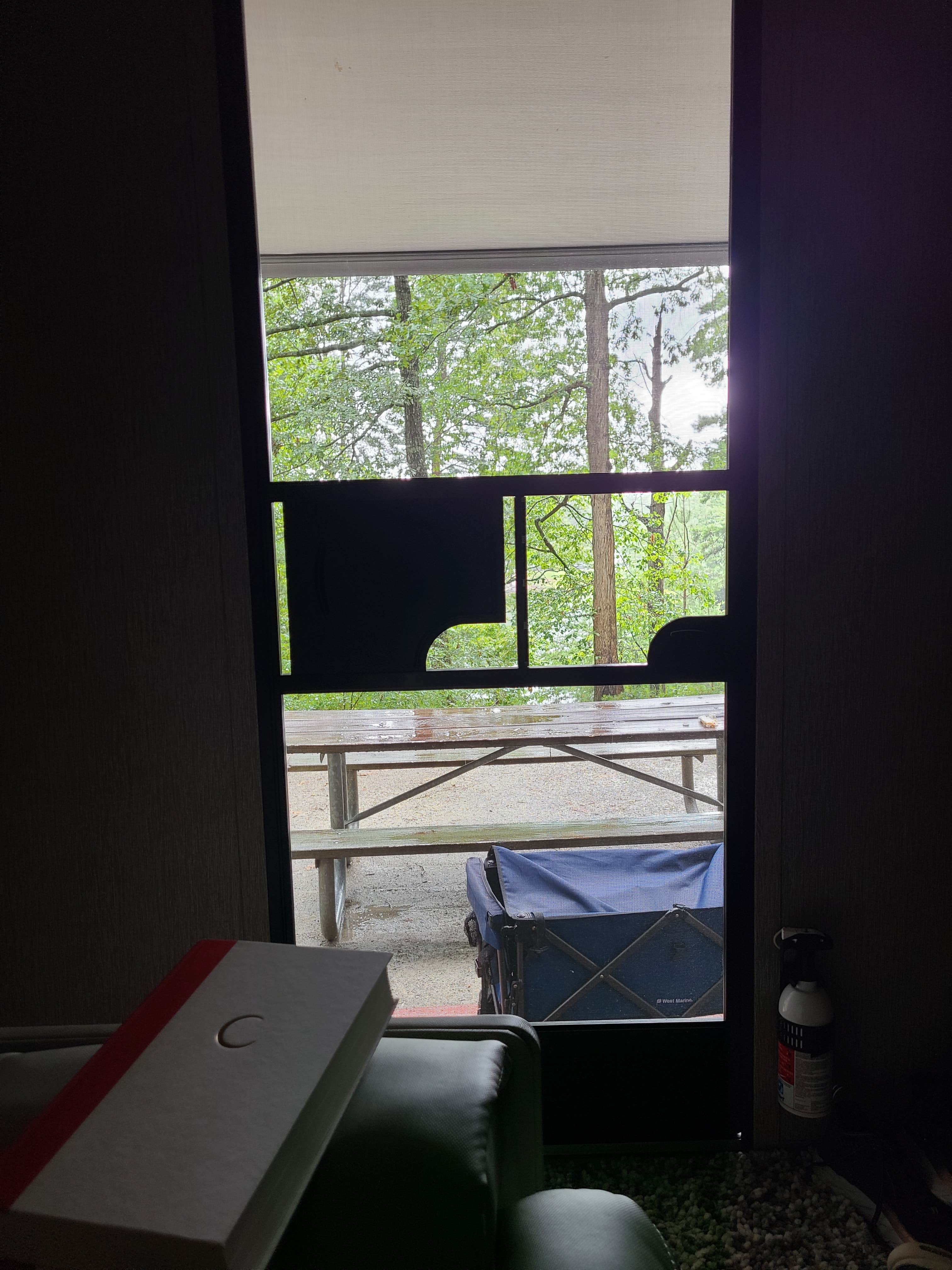 View All
