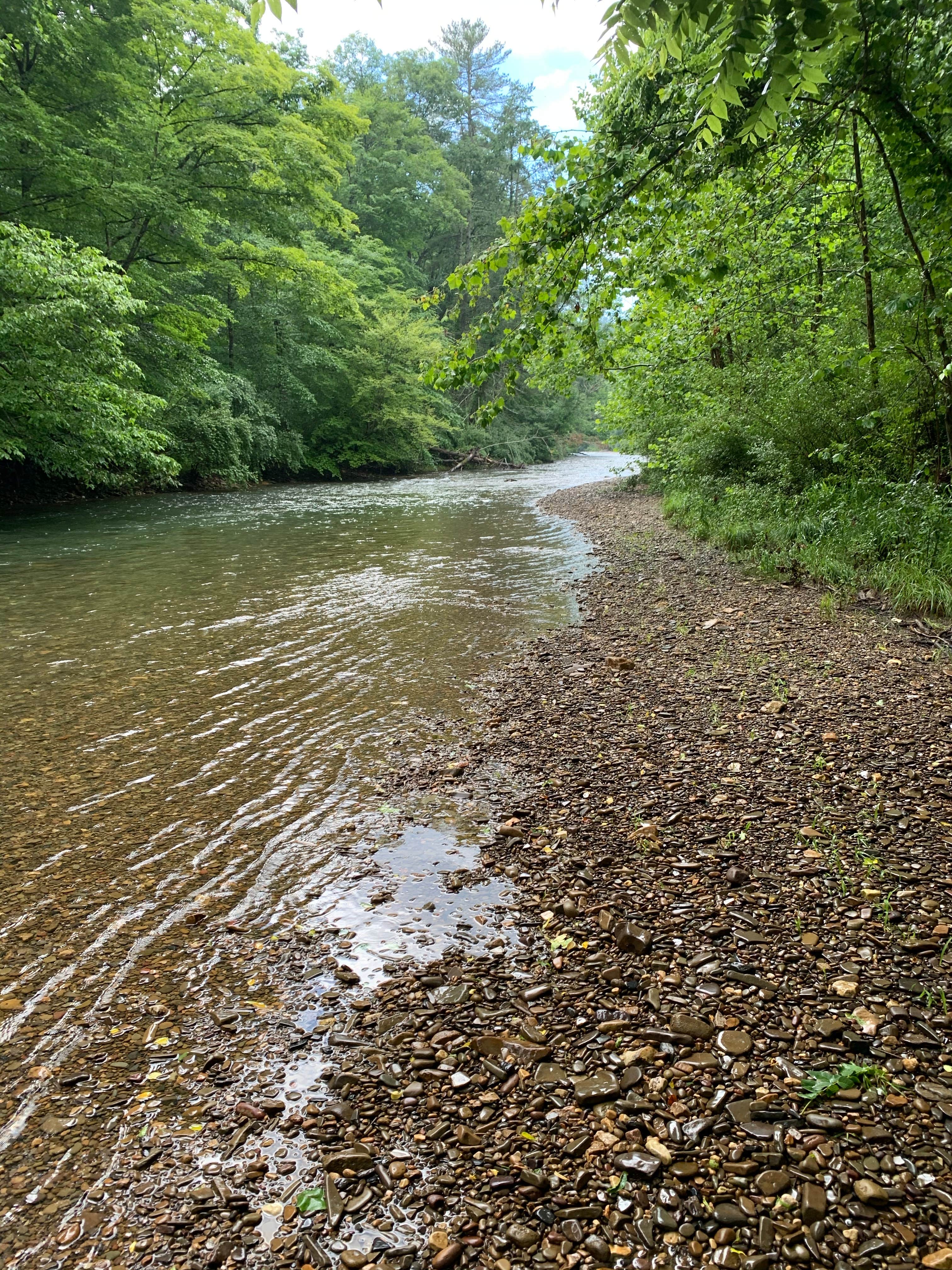 Camper submitted image from Blowing Springs - 4