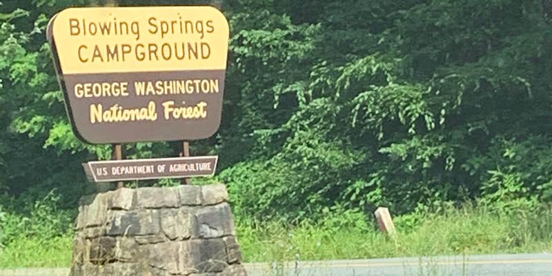 Camper submitted image from Blowing Springs