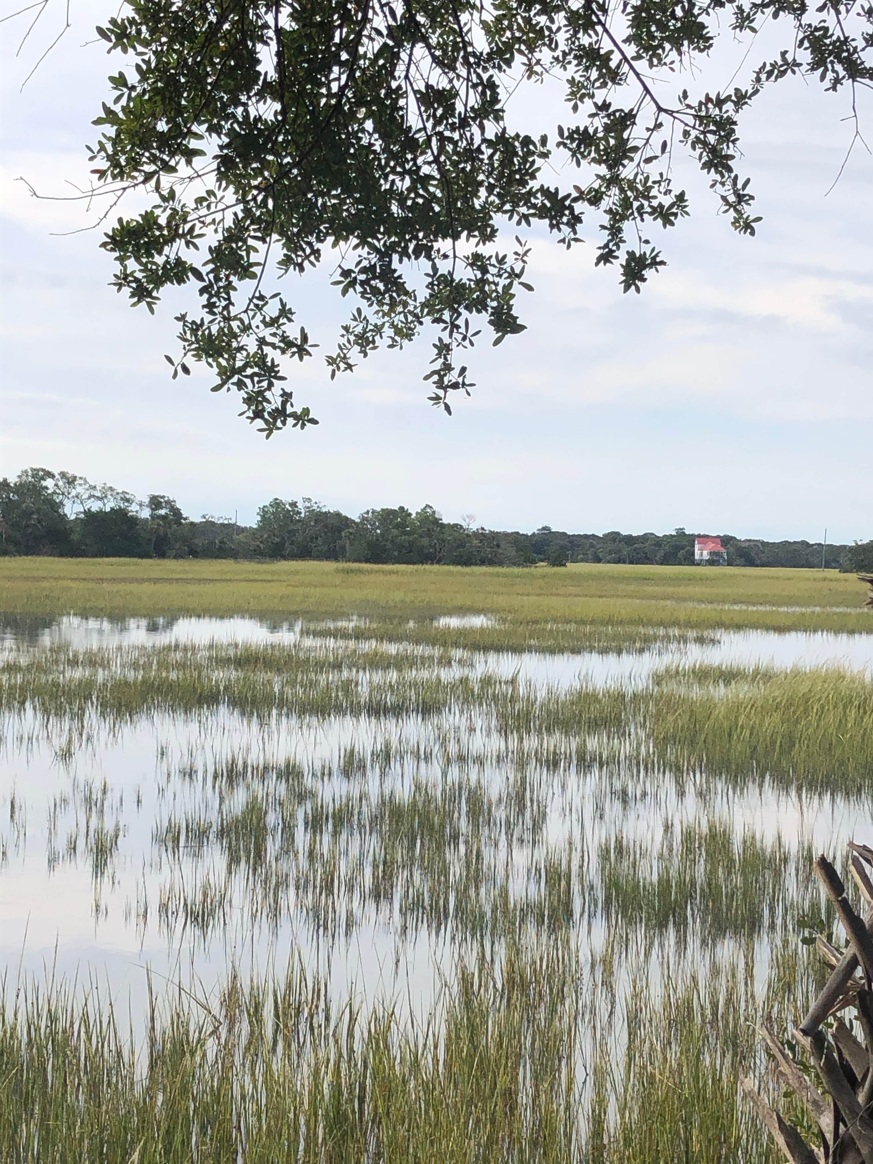 Camper-submitted photo at Edisto Beach State Park Campground near Huger, SC