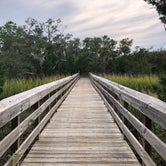 Review photo of Edisto Beach State Park Campground by Marissa H., October 12, 2020