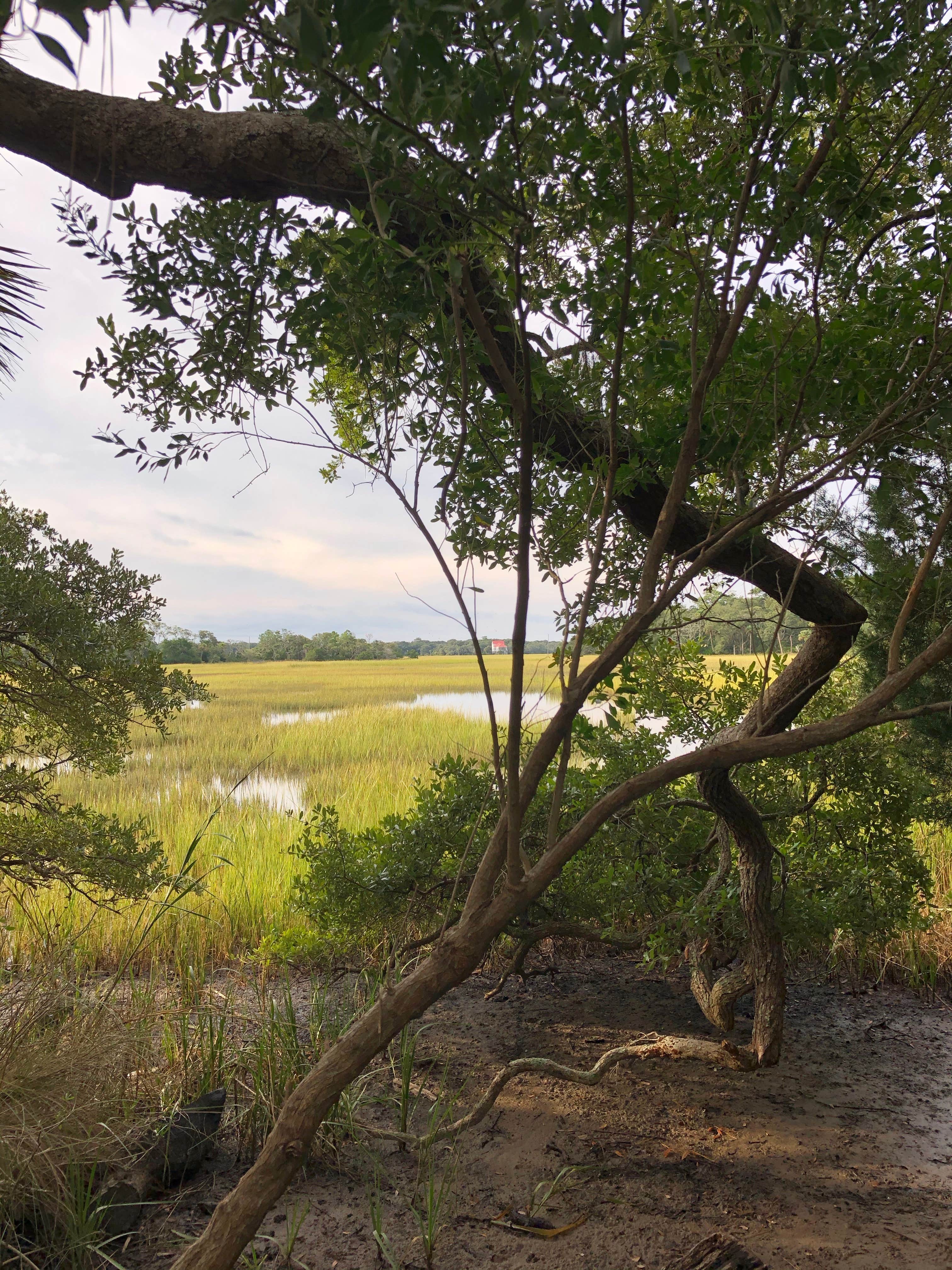 Camper-submitted photo at Edisto Beach State Park Campground near Huger, SC