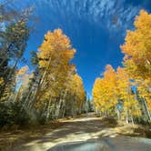 Review photo of Saddle Mountain (Kaibab NF) by Conrad , October 12, 2020