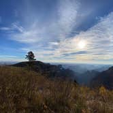 Review photo of Saddle Mountain (Kaibab NF) by Conrad , October 12, 2020