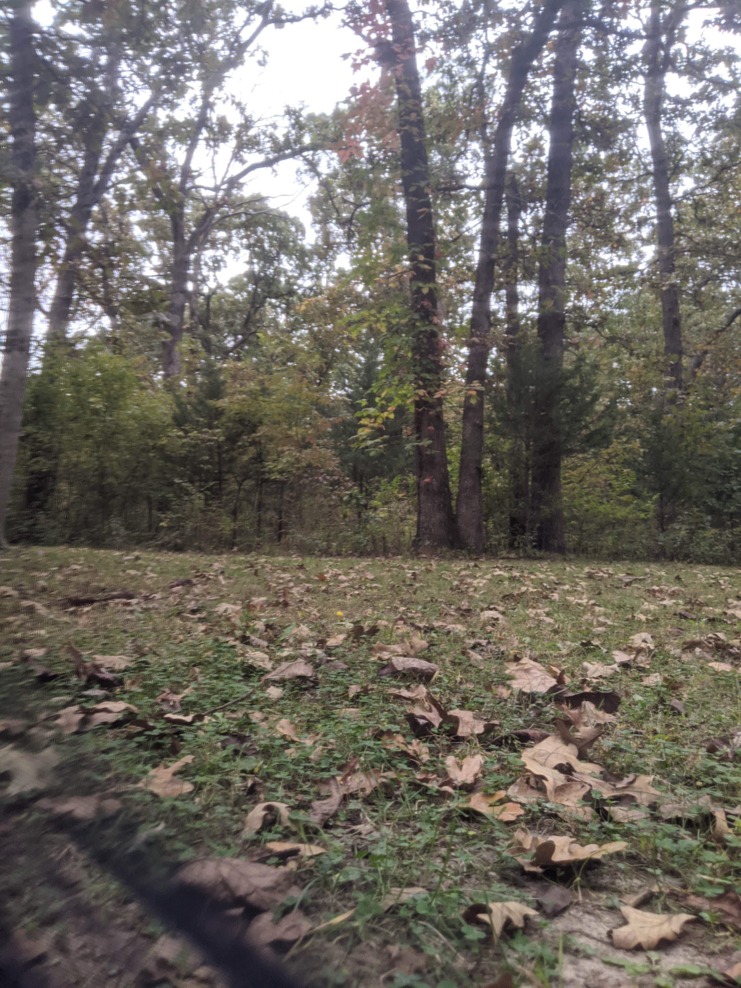 Camper-submitted photo at Knob Noster State Park Campground near Holden, MO