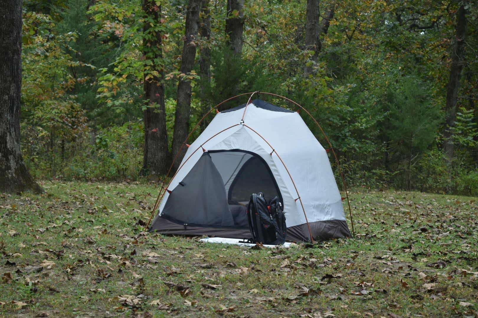 Leni K.'s photo at Knob Noster State Park Campground in Missouri