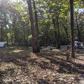 Review photo of Knob Noster State Park Campground by Leni K., October 12, 2020