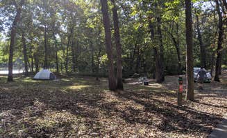 Leni K.'s photo at Knob Noster State Park Campground near Holden, MO