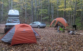 Ryan C.'s photo at Emerald Lake State Park Campground in Vermont