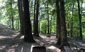 Shannon G.'s photo at Burr Oak State Park Campground near Long Bottom, OH
