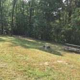 Review photo of Burr Oak State Park Campground by Shannon G., October 12, 2020