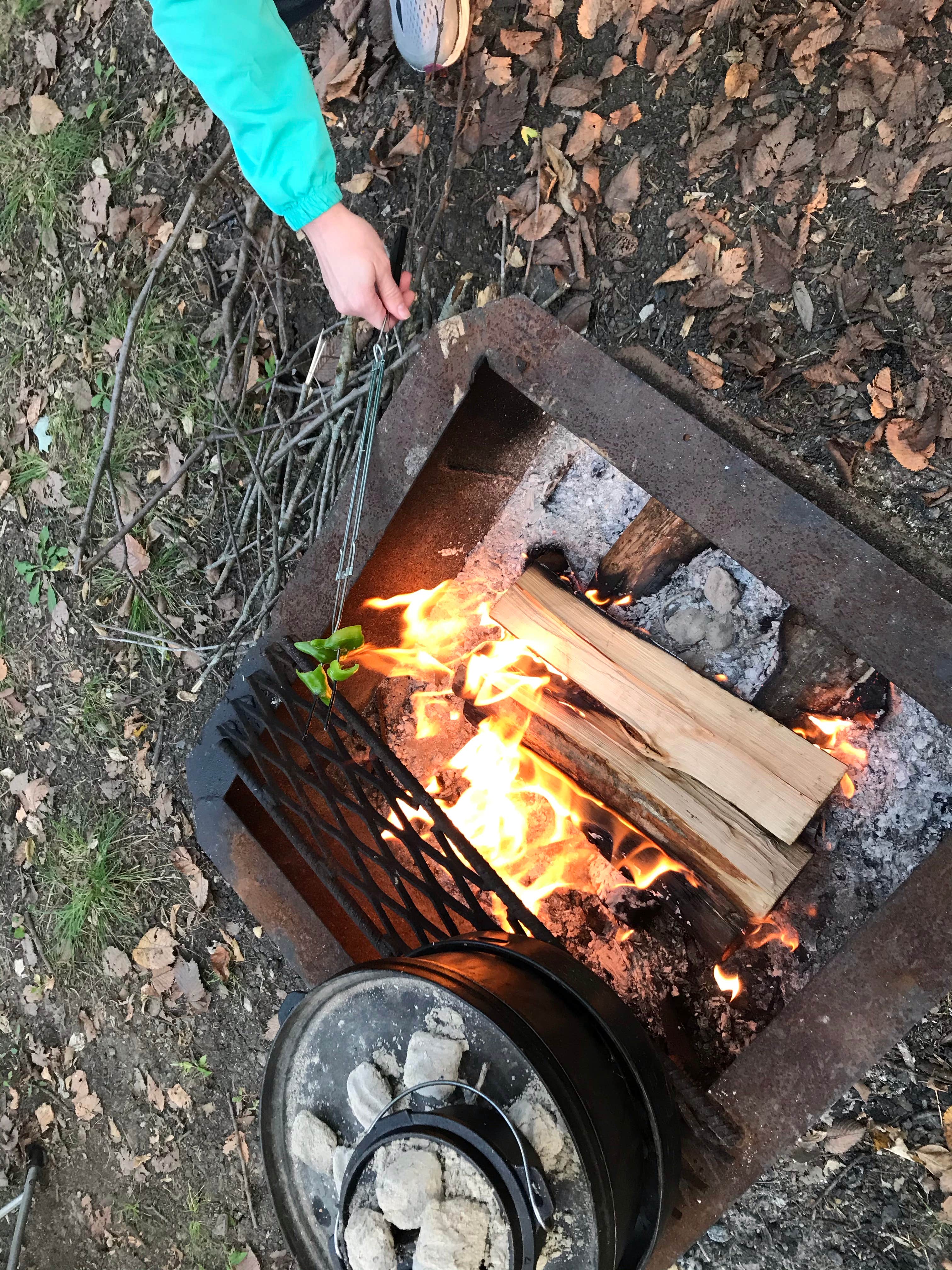 Camper-submitted photo at Katy Roundhouse near Prairie Home, MO