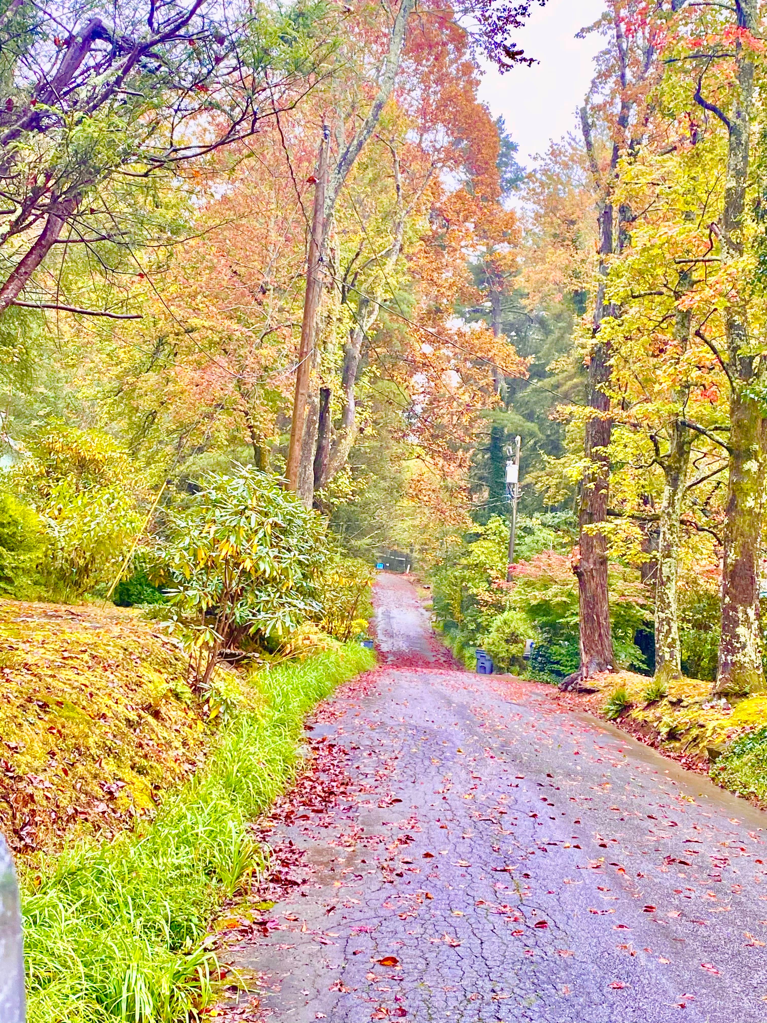 Camper-submitted photo at Orchard Lake Campground near Hendersonville, NC