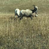 Review photo of Buffalo Gap Dispersed Camping by Caleb C., October 12, 2020
