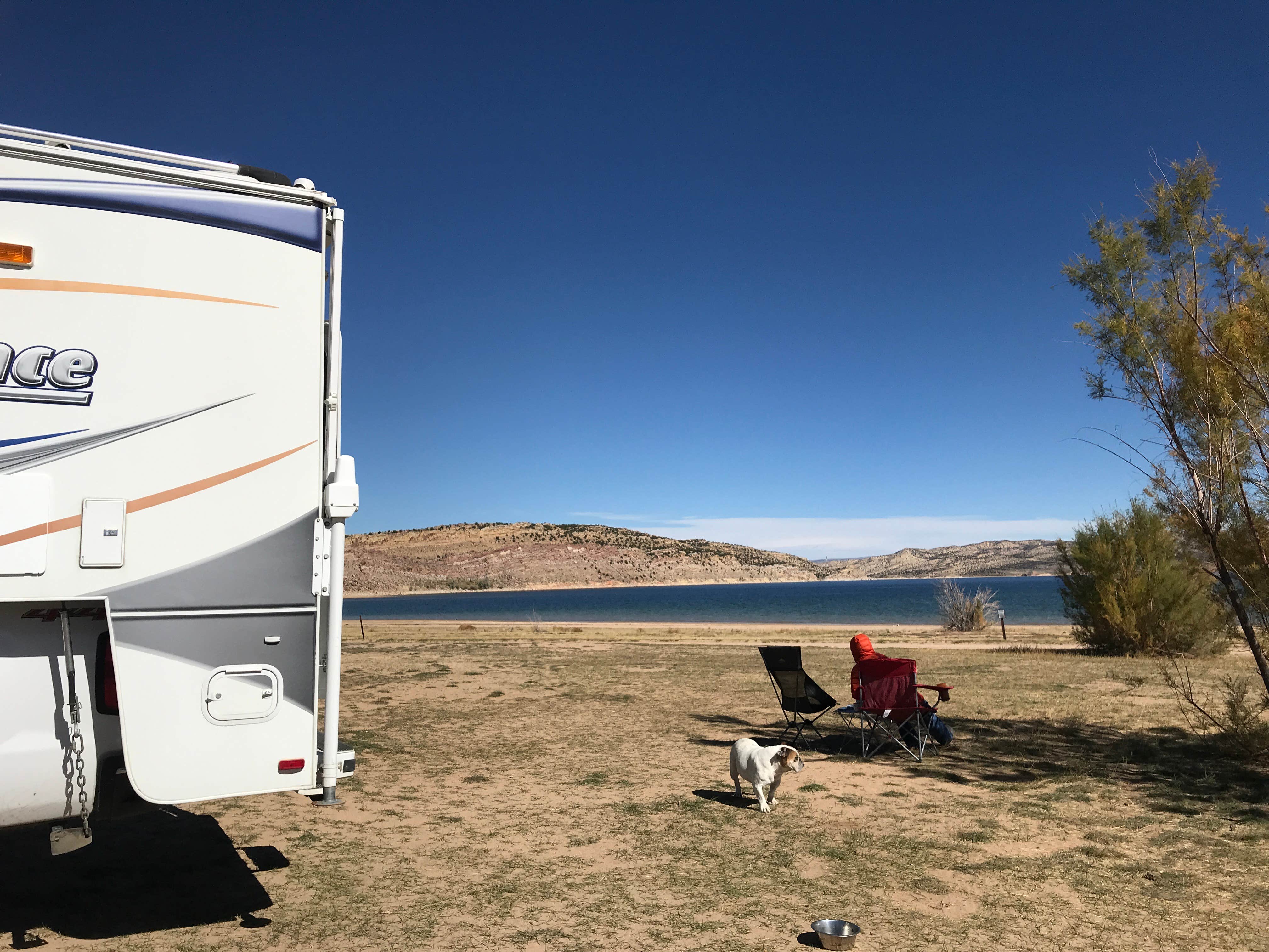 Jim R.'s photo of camping with pets at Stateline Cove Campground near Ashley National Forest
