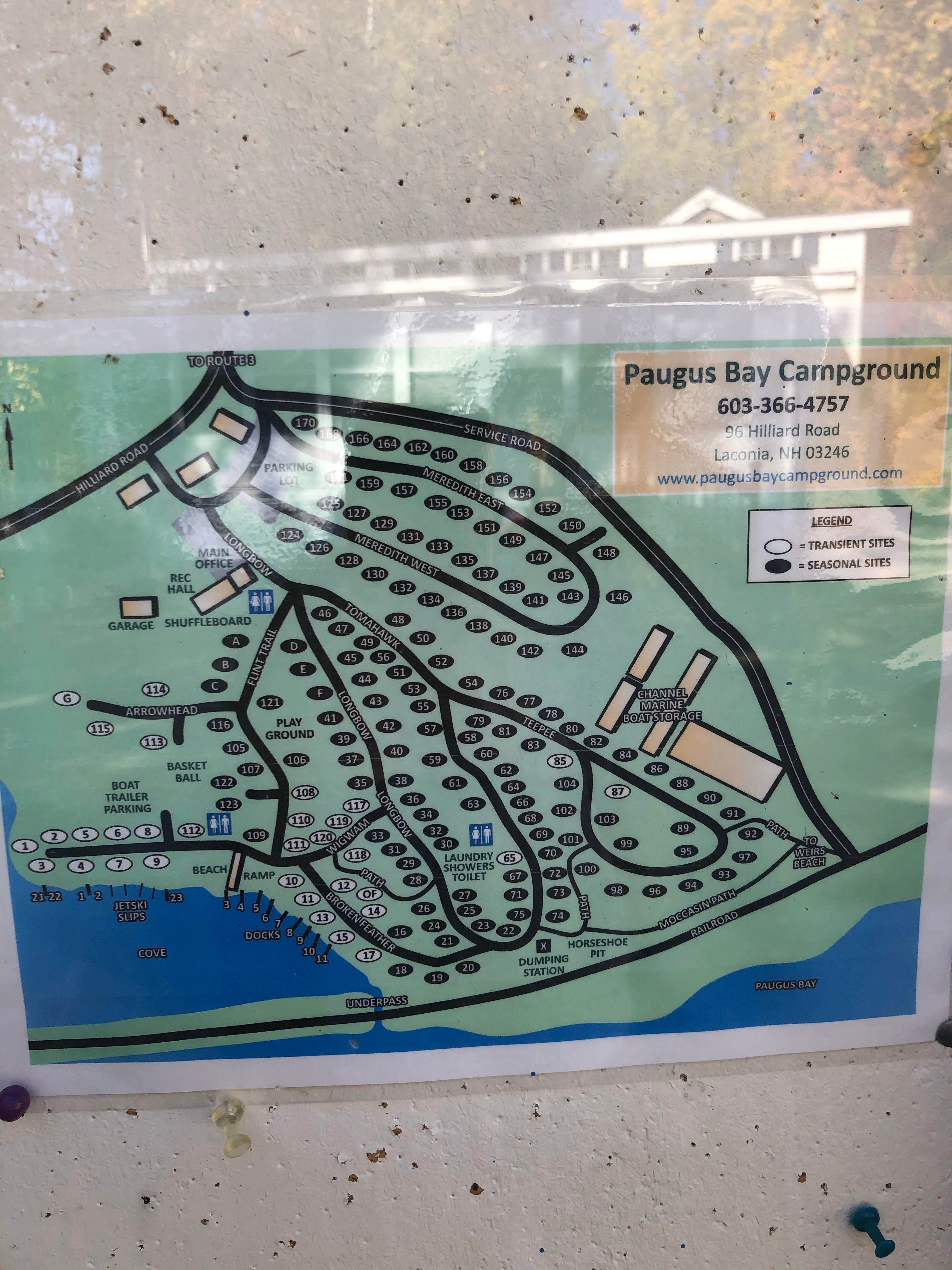 Camper-submitted photo at Paugus Bay Campground near Laconia, NH