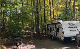 Kasey M.'s photo of camping with pets at Paugus Bay Campground in New Hampshire