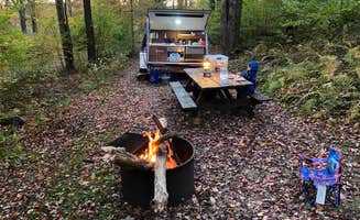 Richard P.'s photo at Loleta Recreation near Sigel, PA