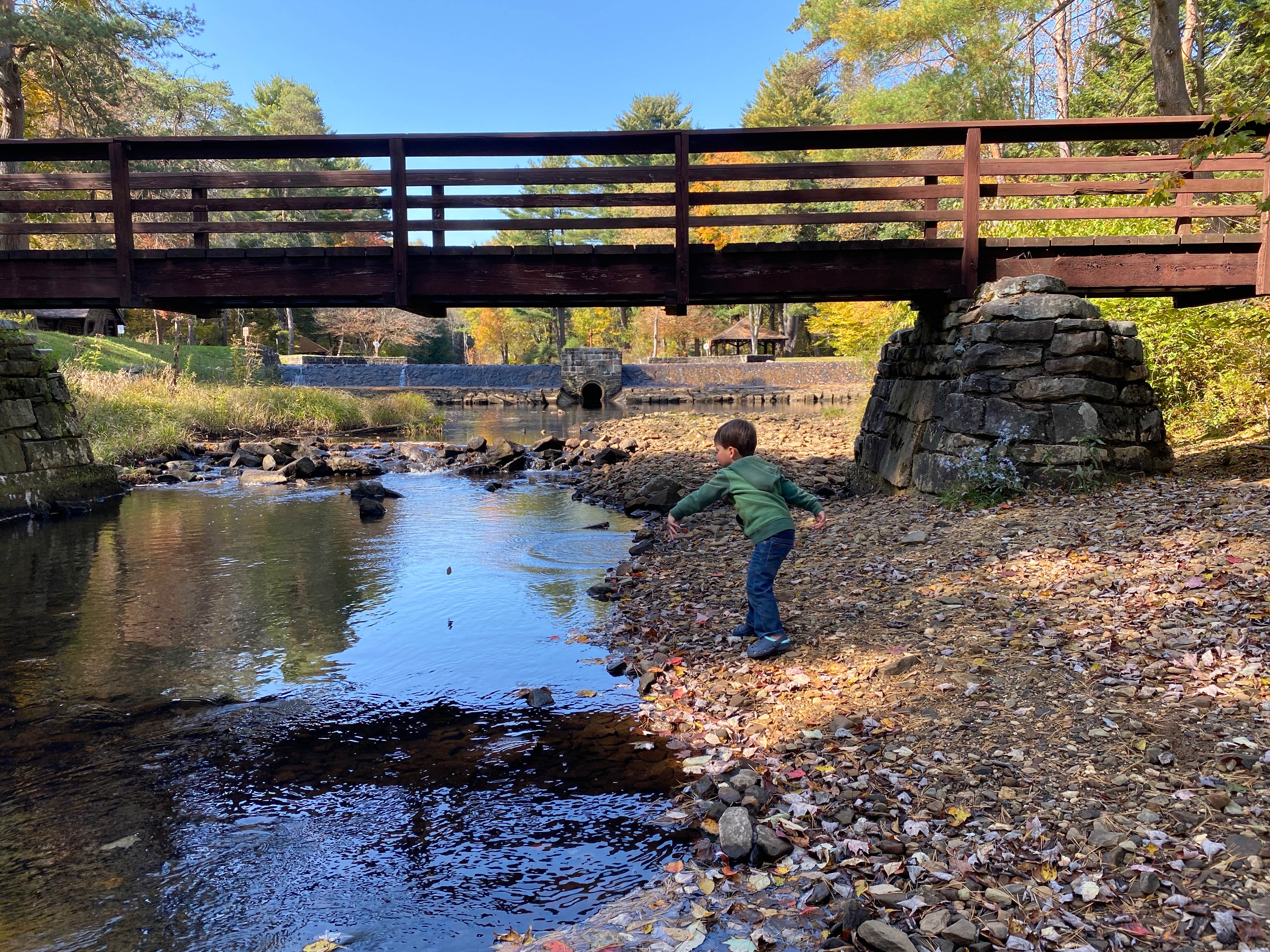 Camper-submitted photo at Loleta Recreation near Sigel, PA