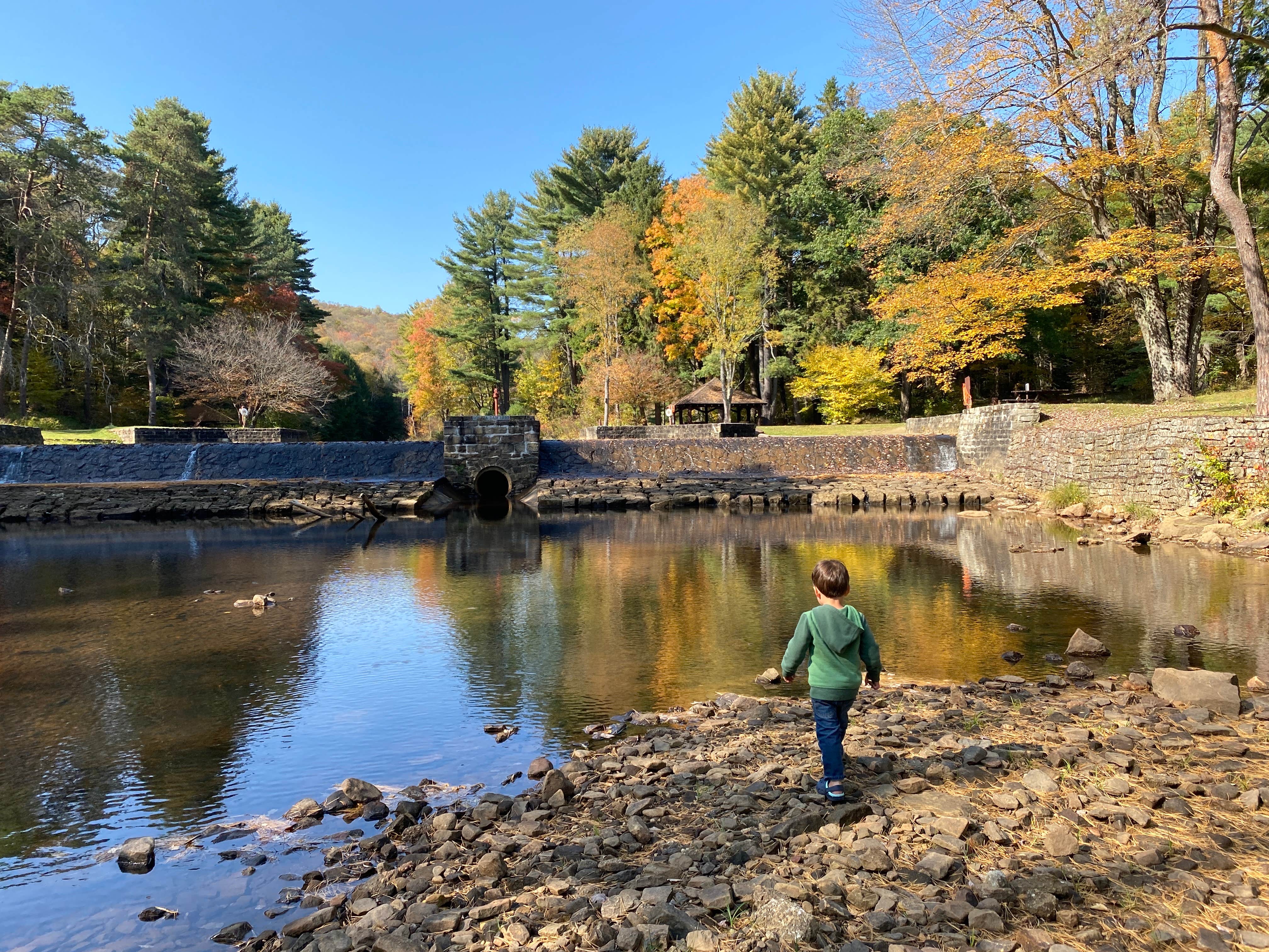 Camper-submitted photo at Loleta Recreation near Sigel, PA