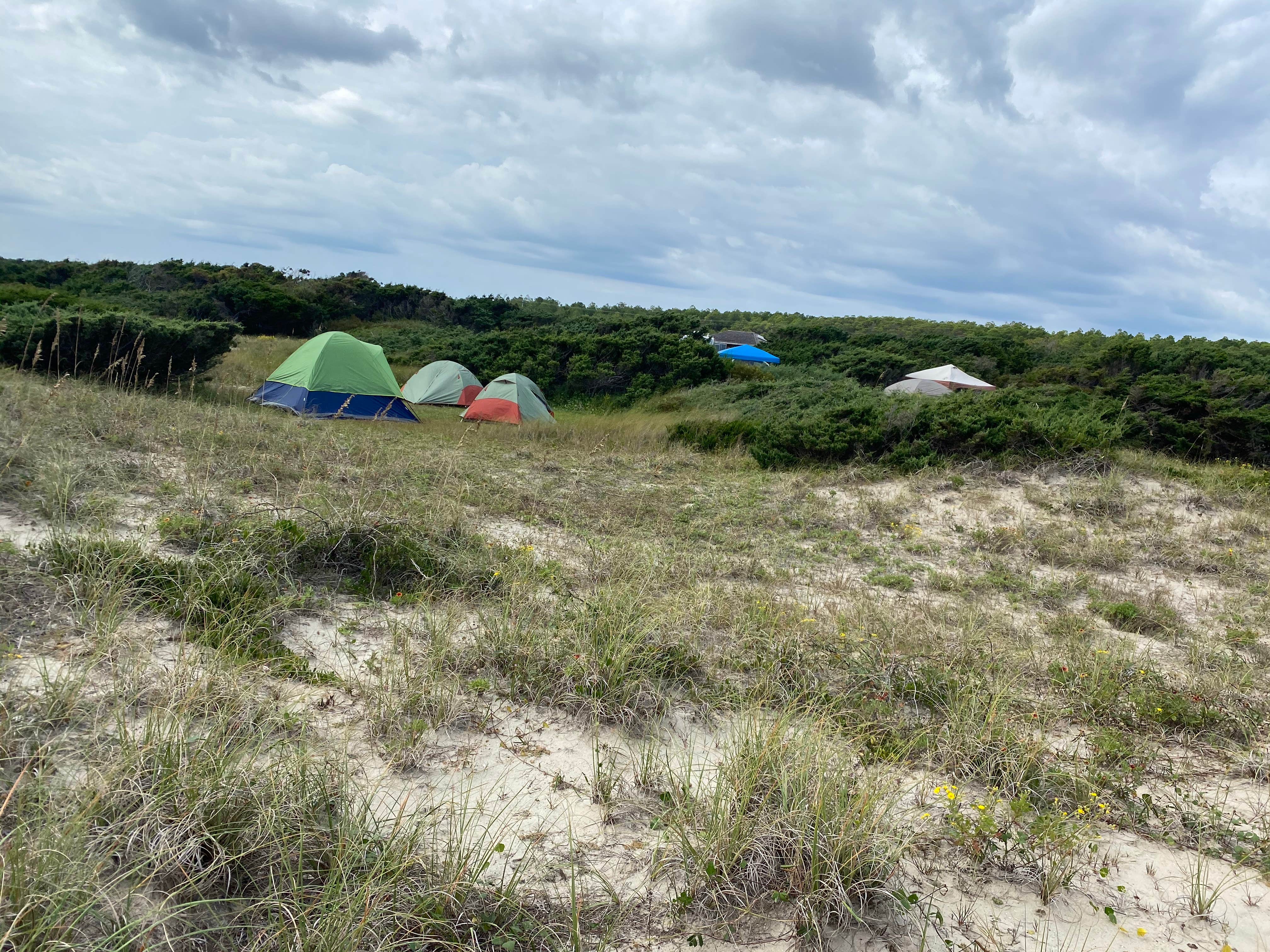 Gerald W.'s photo at Ocracoke Campground — Cape Hatteras National Seashore near Frisco, NC