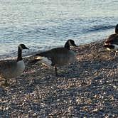 Review photo of Illinois Beach State Park by Kathleen D., October 12, 2020