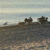 Review photo of Illinois Beach State Park by Kathleen D., October 12, 2020