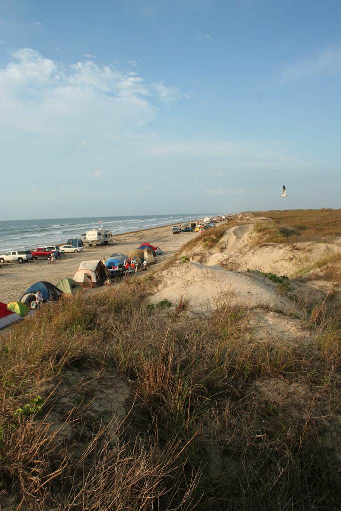 South Beach Campground - Padre Island National Seashore Camping | The Dyrt