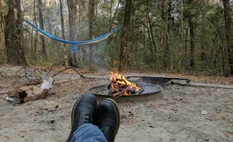 Jennifer H.'s photo at Princess Ann — Lumber River State Park near Nichols, SC