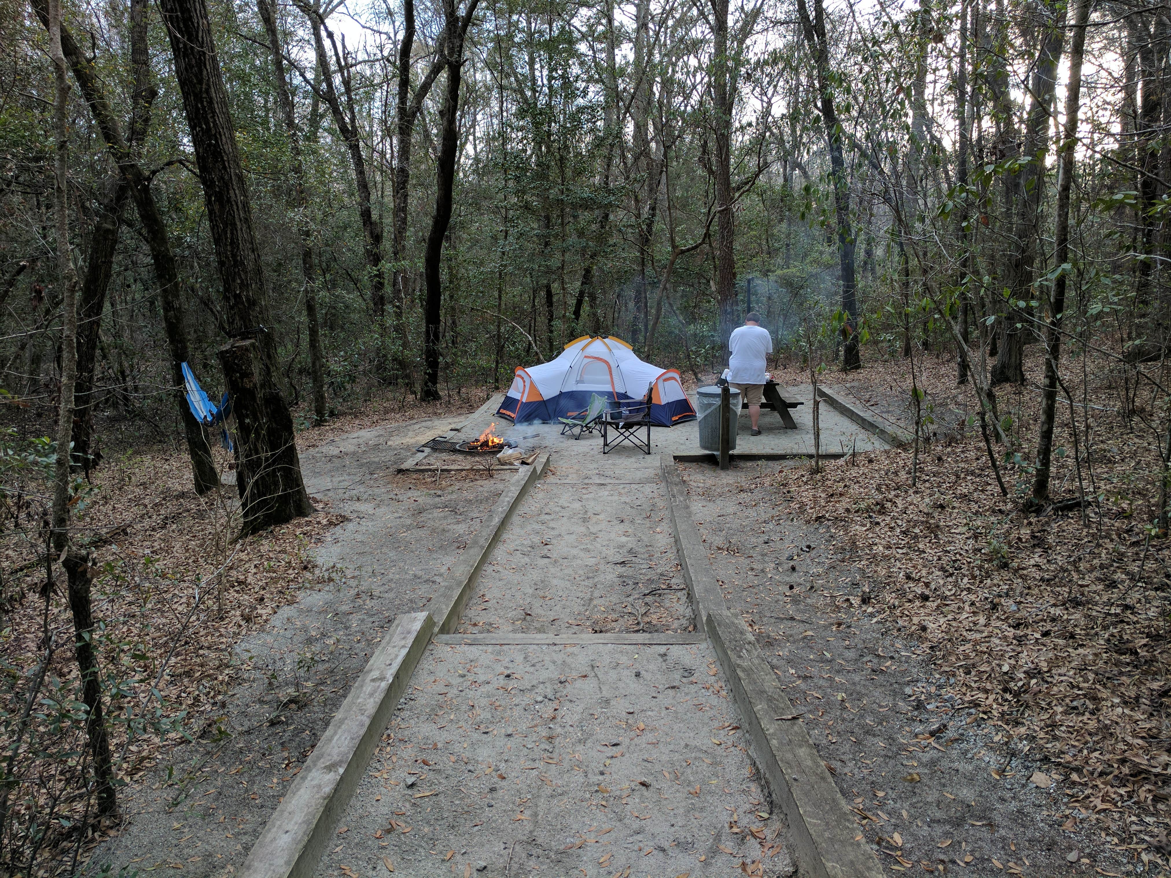 Camper submitted image from Princess Ann — Lumber River State Park - 4