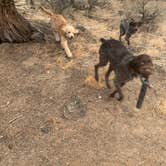 Review photo of Oregon Badlands Dispersed by Jennifer R., October 12, 2020