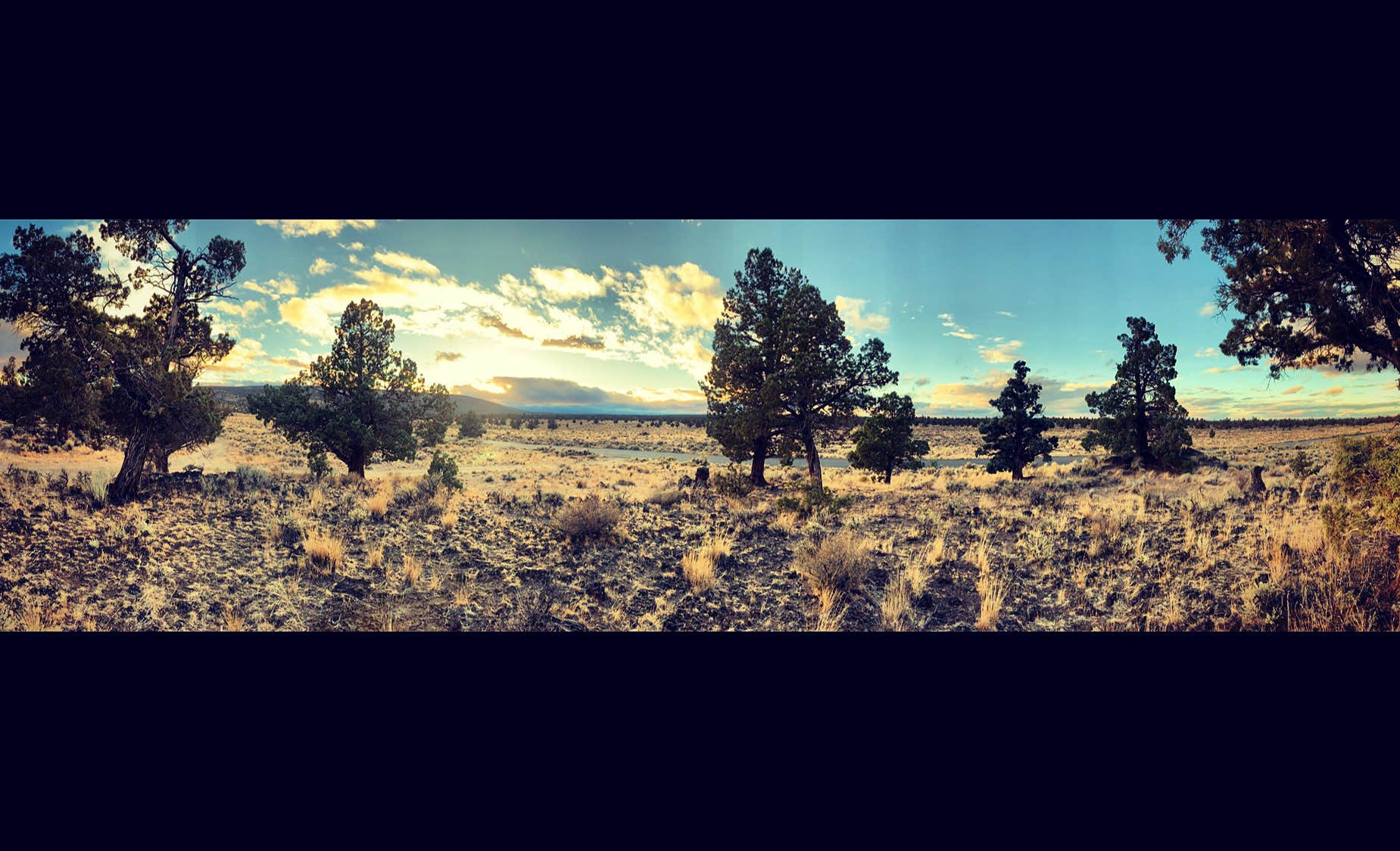 THE 10+ BEST Free Campsites in OREGON