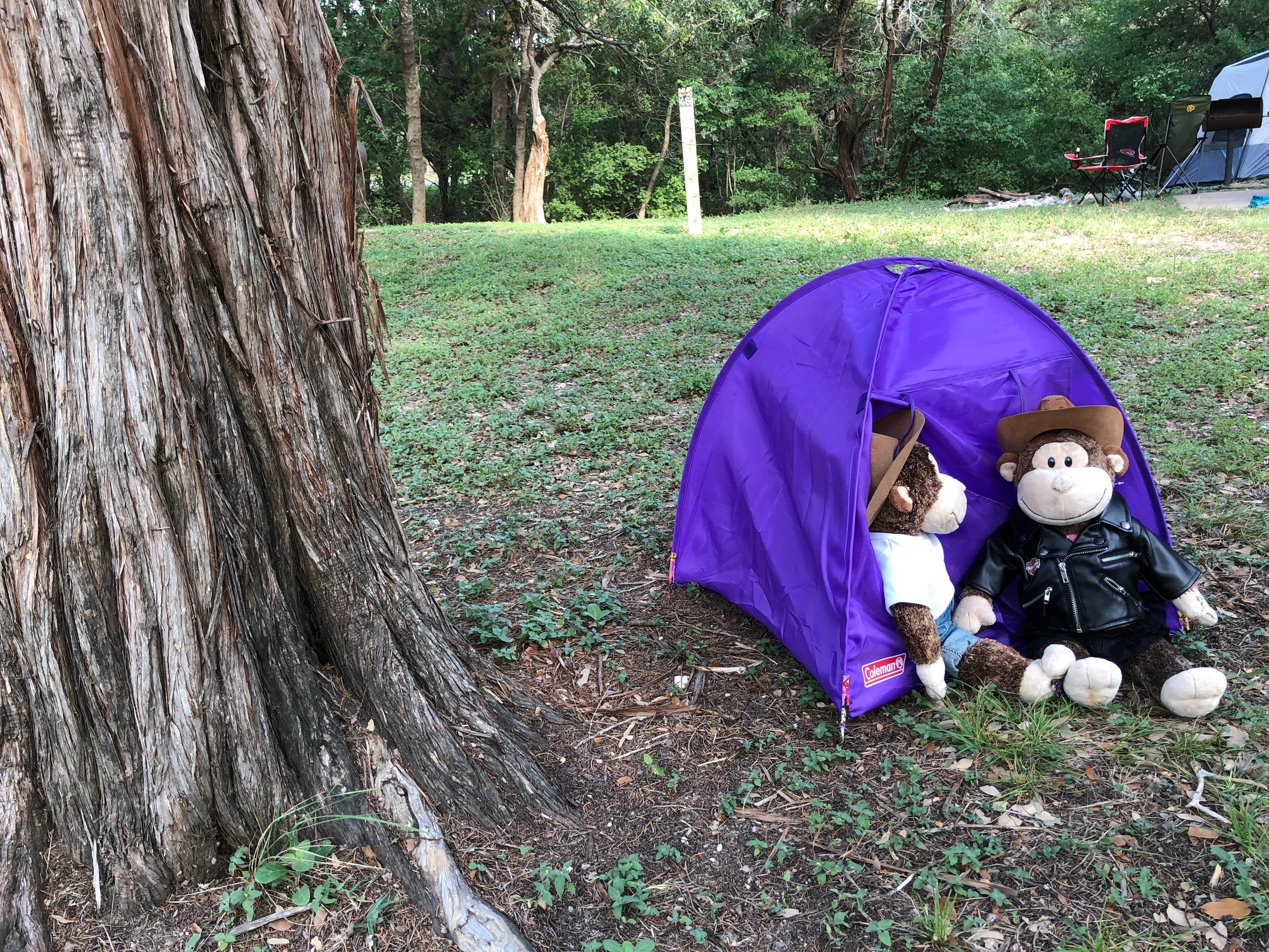 Camper submitted image from Reynolds Creek - 5