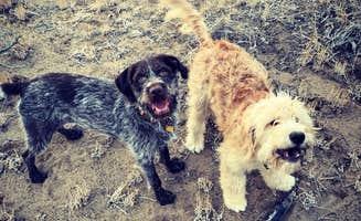 Jennifer R.'s photo of camping with pets at Oregon Badlands Dispersed near Central Oregon