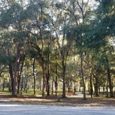 Review photo of Spirit of the Suwannee Music Park & Campground by L O., October 12, 2020