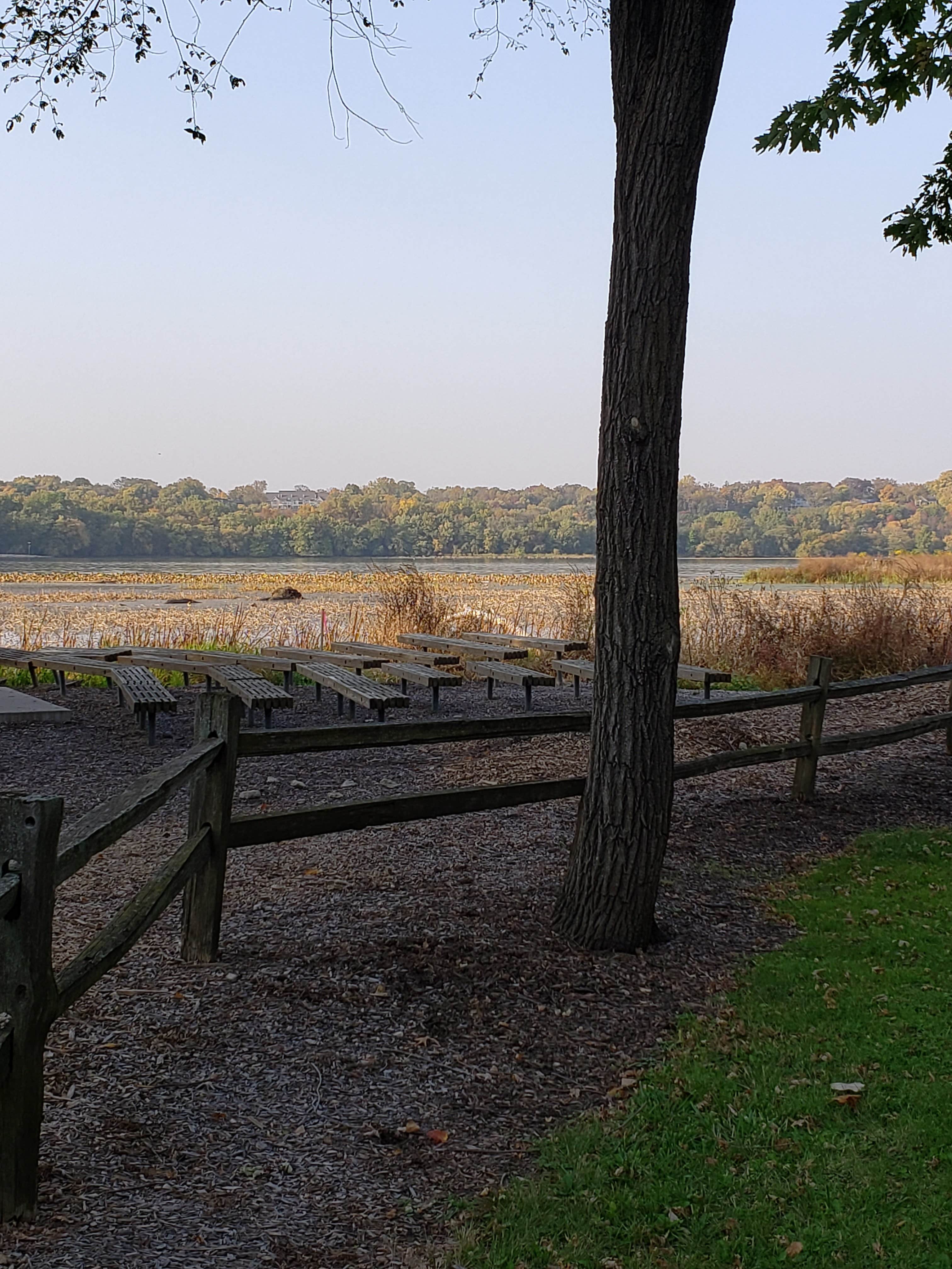 Camper submitted image from Fishermans Corner - Mississippi River - 3