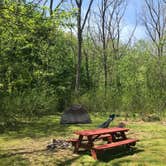 Review photo of Camp Alta Mons by Dave V., May 20, 2018