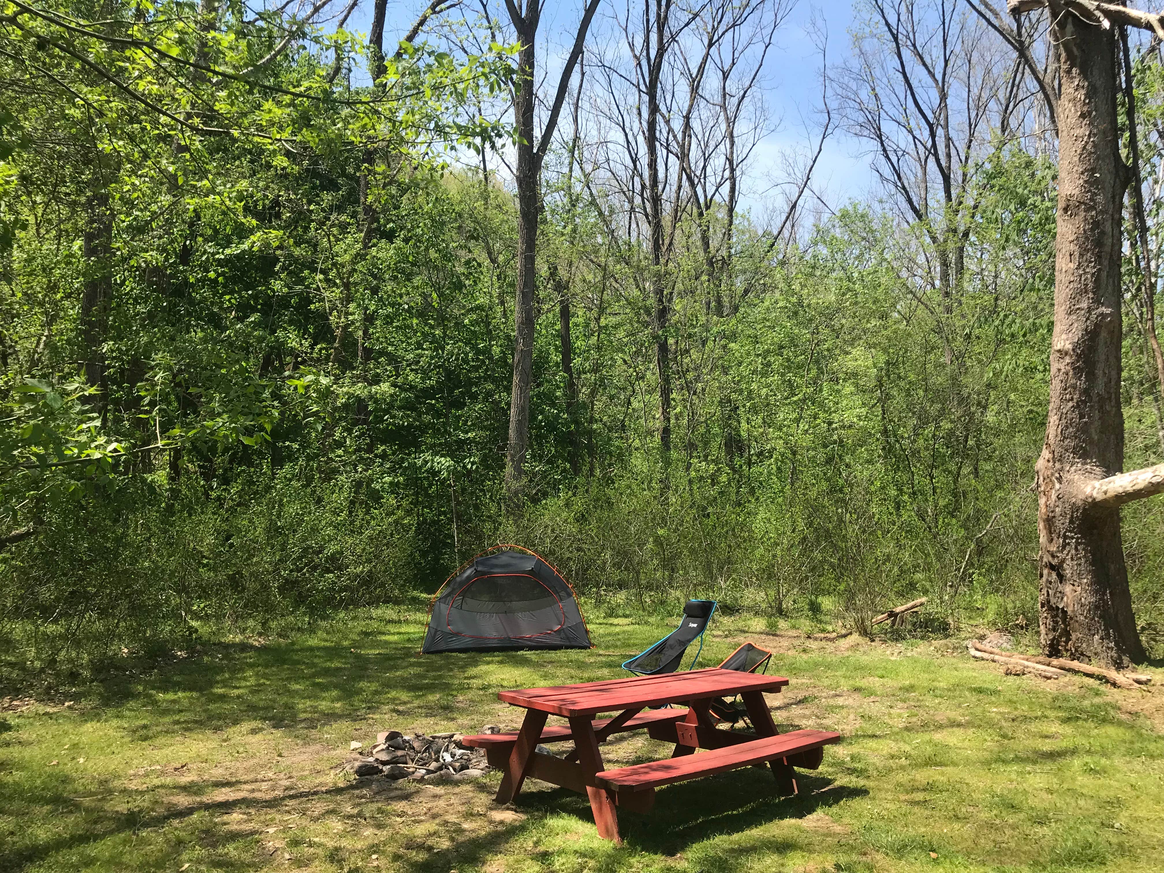 Camper submitted image from Camp Alta Mons - 2