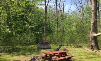 Dave V.'s photo at Camp Alta Mons near Salem, VA