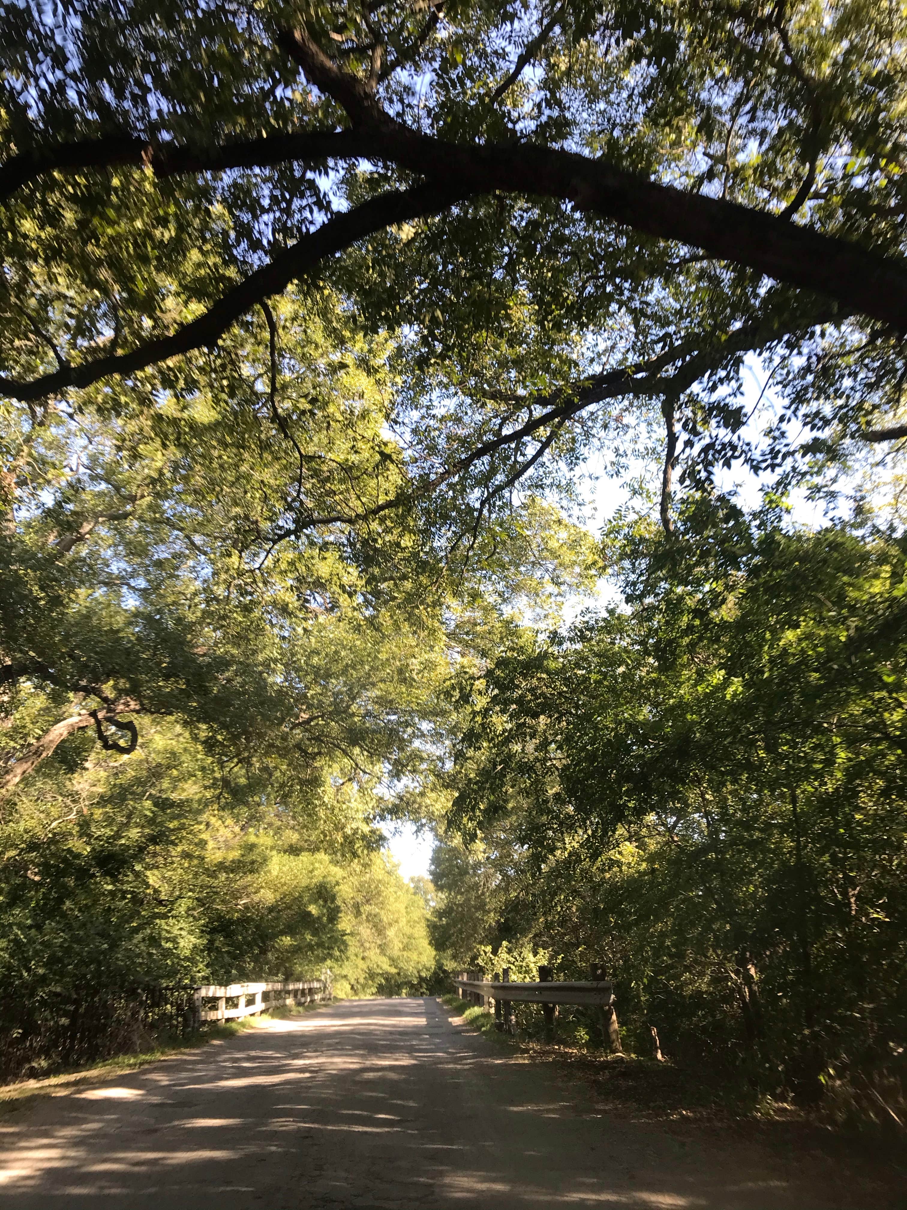 Camper submitted image from Hico City Park - 2