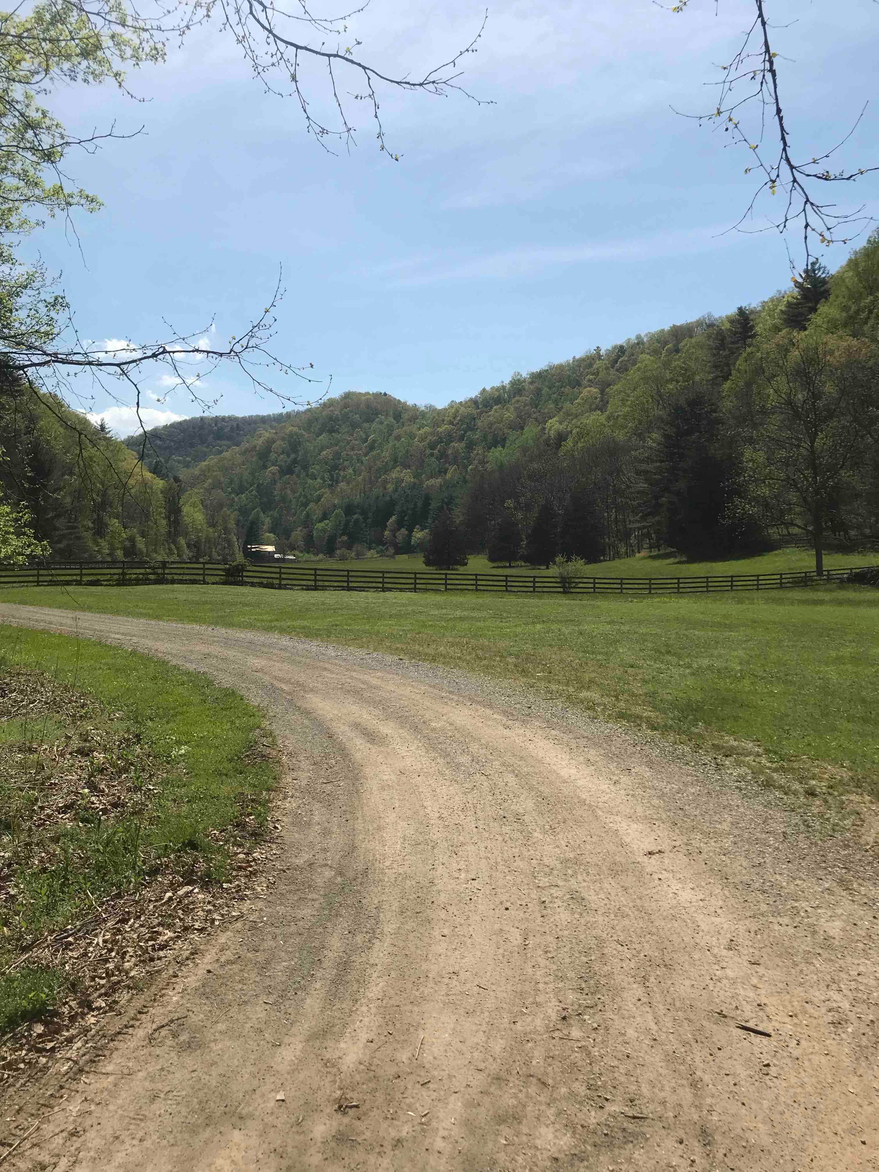 Camper submitted image from Camp Alta Mons - 3
